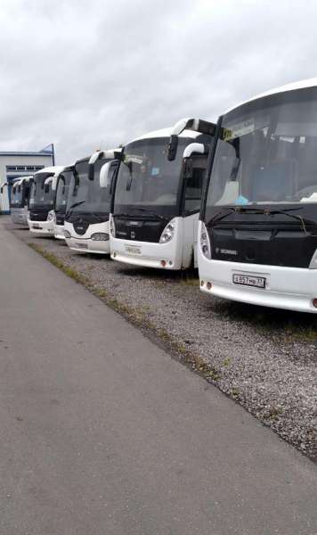 Туристический автобус ГолАЗ 5291 Круиз, 2007