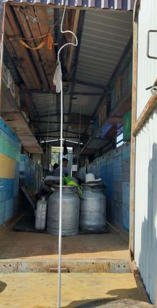 Газ 66 и пасика