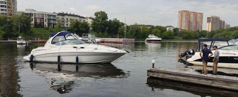 Моторная яхта searay 355