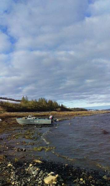 Лодка Прогресс 4(прогулочный катер)