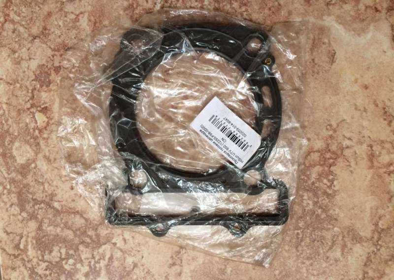 Прокладка головки stels UTV 800H/ ATV 800GT