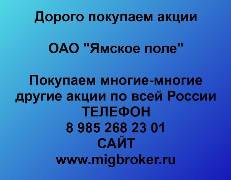 Покупаем акции ОАО «Ямское поле»