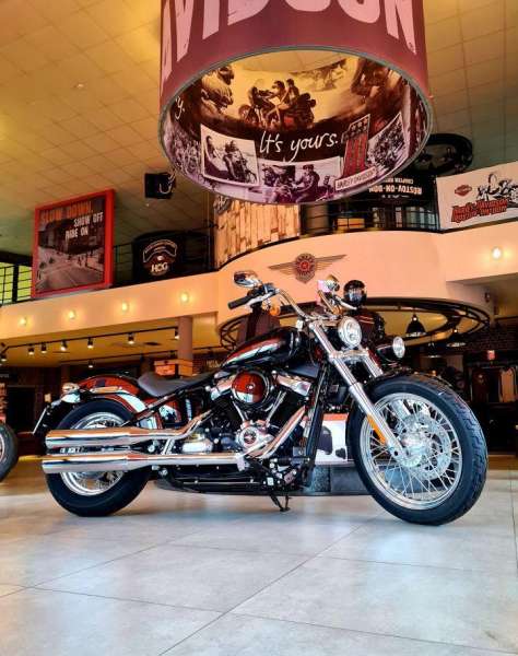 Harley-Davidson Softail Standard 2021