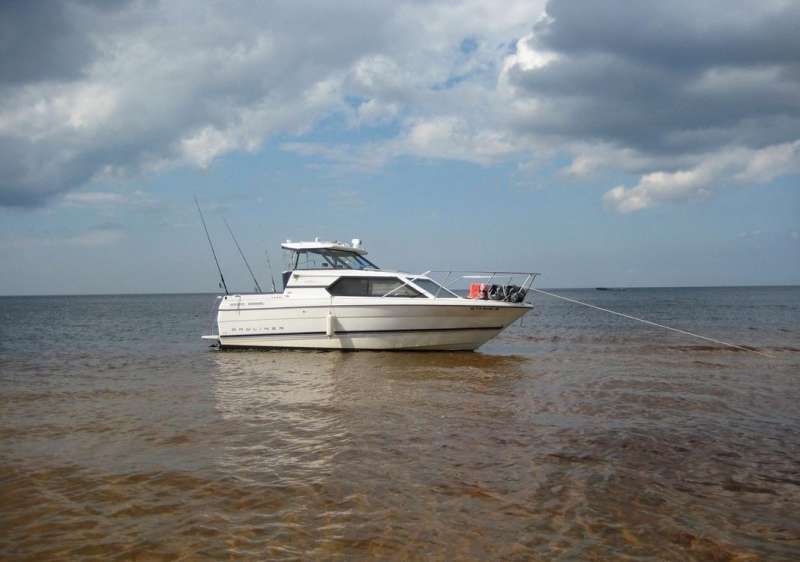 Bayliner 2452 с трейлером