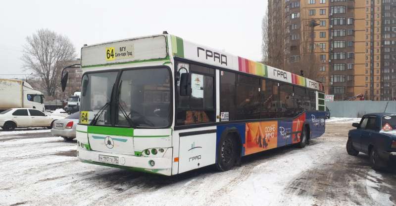 Маз 103.Автобус 2010 года