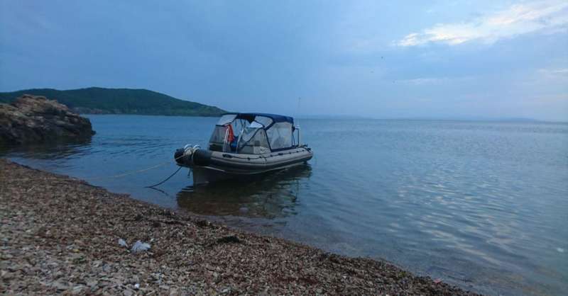 Риб (RIB) Алюминиевый Сима (6,4 метра)