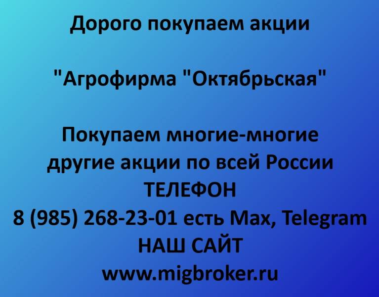 Покупаем акции «Агрофирма Октябрьская»