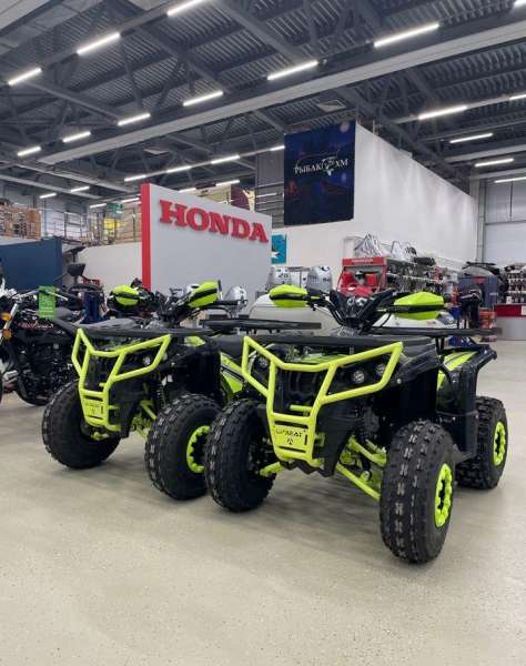 Квадроцикл motoland raptor 125