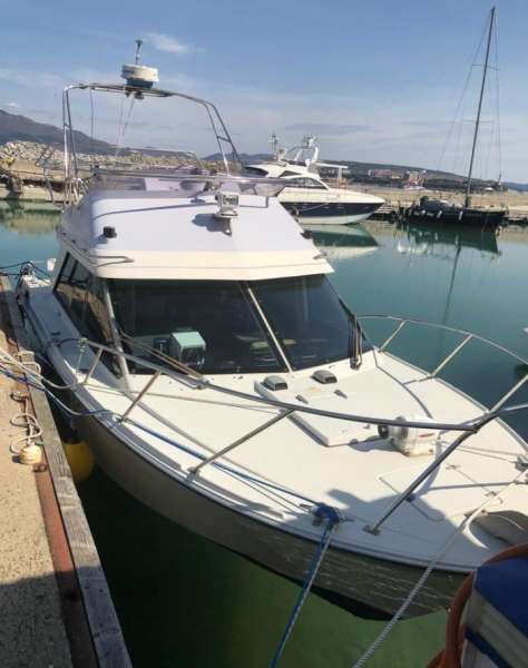 Катер yamaha SR25