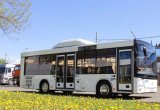 Автобус лотос 206 на метане в Краснодаре