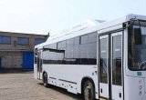 Пригородный газовый автобус нефаз 45 мест в Набережных Челнах