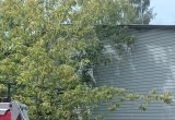 Вилы транспортные паллетные усиленные гп 1500 кг