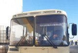 Продаются автобусы паз 2013 в Самаре