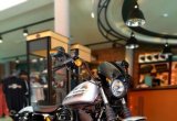 Harley-Davidson Sportster iron 1200 в Ростове-на-Дону