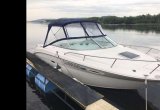 Продажа Sea Ray 225 в Тольятти