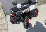 Новый Квадроцикл Forte Braves 200