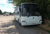 Автобусы паз паз 4230 Аврора в Валуйках