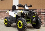 Квадроцикл Motoland ATV 200 wild track 200 LUX А