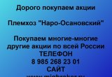 Покупаем акции «Племхоз Наро-Осановский»