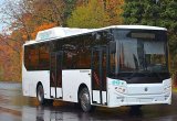Автобус кавз 4270-80 низкопольный, 28/90,  CNG в Калуге