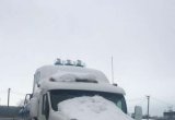 Peterbilt 387 cat-15 в Воронеже