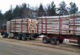 Прицеп лесовоз сортиментовоз Istrail 4х осный
