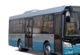 Междугородний / Пригородный автобус ЛиАЗ 429260, 2021 в Волгограде