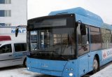 Городской автобус МАЗ 203965, 2021 в Сургуте