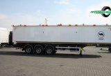 Полуприцеп самосвальный WIELTON NW 3 A 55 PD, 2021 в Пскове