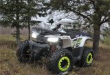 Квадроцикл Motoland ATV 125 Wild 2021