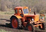 Трактор т-40 ам 1992 г в целиком по з) ч без кабин в Кингисеппе