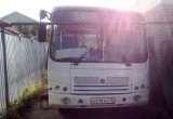 Автобус паз 320402-03 в Краснодаре
