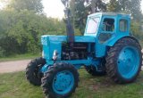 Трактор Т 40ам в Дедовичах