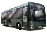 Городской автобус МАЗ 206, 2021