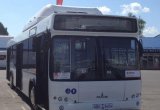 Городской автобус МАЗ 103965, 2021 в Волгограде