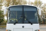 Междугородний / Пригородный автобус КАвЗ 4238, 2021 в Новороссийске