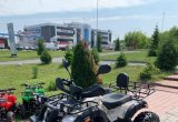 Квадроцикл Grizzly 250cc кардан в Томске
