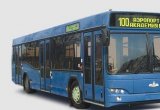 Городской автобус маз 103 в Курске