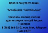 Покупаем акции «Агрофирма Октябрьская»