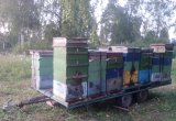 Прицеп пчеловоз, 2010 в Кетово