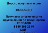 Покупаем акций «Новошип» по высоким ценам без налога в Сургуте