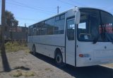 Междугородний / Пригородный автобус КАвЗ 4238-52, 2021 в Санкт-Петербурге