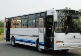 Междугородний / Пригородный автобус КАвЗ 4238, 2021 в Краснодаре