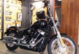 Harley-davidson softail standard 2021