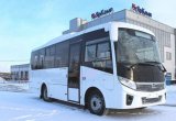 Междугородний автобус паз 320405-04 вектор некст в Петрозаводске