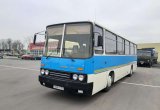 Ikarus C256.74