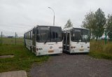 Автобус лиаз 525645-01 в Елабуге